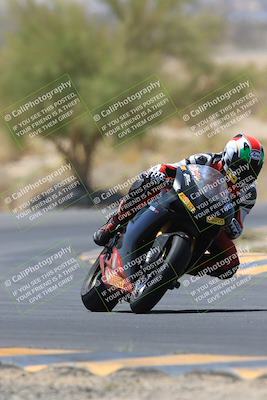 media/May-14-2023-SoCal Trackdays (Sun) [[024eb53b40]]/Turn 5 Tree of Life (1125am)/